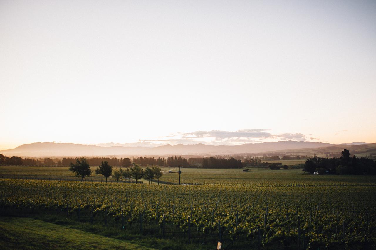 Black Estate B&B Waipara Exterior foto